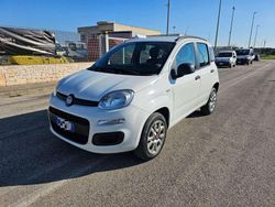 Bianco Usata 2014 Fiat Panda Pop Due volumi | 6900 € (Buon prezzo)