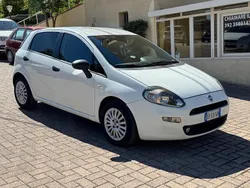Bianco Usata 2013 Fiat Punto Street Due volumi | 4800 € (Buon prezzo)
