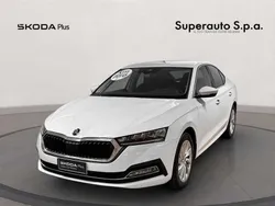 Bianco Nuova 2024 Skoda Octavia Executive Tre volumi | 23.900 € (Buon prezzo)
