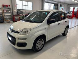 Bianco Usata 2020 Fiat Panda Easy Due volumi | 10.500 € (Buon prezzo)