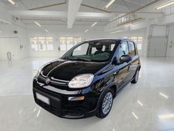Nero Usata 2024 Fiat Panda S Due volumi | 12.000 € (Buon prezzo)