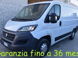 Bianco Usata 2020 Fiat Ducato Furgone | 11.950 € (Super prezzo)
