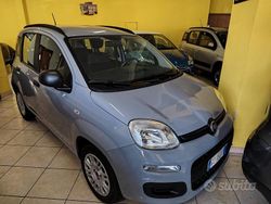 Grigio Usata 2020 Fiat Panda Pop Due volumi | 9000 € (Buon prezzo)