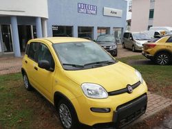 Giallo Usata 2024 Fiat Panda S Due volumi | 13.690 € (Cara)