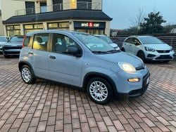 Grigio Usata 2023 Fiat Panda Due volumi | 10.990 € (Buon prezzo)