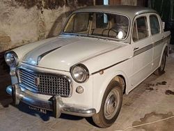 Grigio Usata 1959 Fiat 1100 Tre volumi | 8500 €