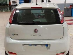 Usata 2014 Fiat Punto Young Tre volumi | 4500 € (Buon prezzo)
