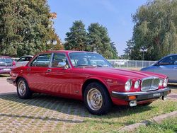 Usata 1979 Jaguar XJ12 Tre volumi | 11.000 €
