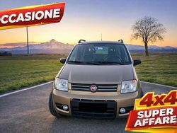 Usata 2008 Fiat Panda 4x4 Due volumi | 6699 € (Cara)