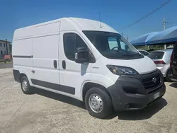 Bianco Usata 2020 Fiat Ducato Furgone | 19.900 € (Ottimo prezzo)