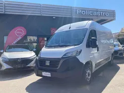 Bianco Usata 2021 Fiat Ducato Furgone | 16.490 € (Ottimo prezzo)