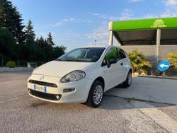 Bianco Usata 2012 Fiat Punto Pop Due volumi | 3300 € (Molto cara)