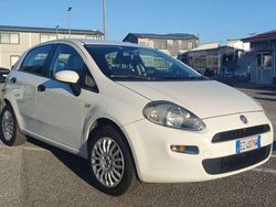 Bianco Usata 2015 Fiat Punto Street Due volumi | 4800 € (Ottimo prezzo)