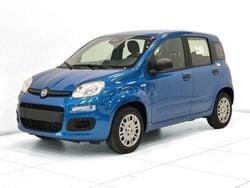 Azzurro Nuova 2025 Fiat Panda Icon Due volumi | 14.640 €