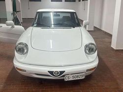 Usata 1992 Alfa Romeo Spider Cabrio | 25.500 €