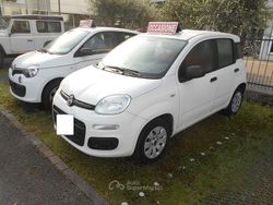Bianco Usata 2020 Fiat Panda Tre volumi | 10.000 € (Buon prezzo)
