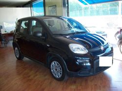 Nero Usata 2022 Fiat Panda City Life Due volumi | 11.700 € (Cara)
