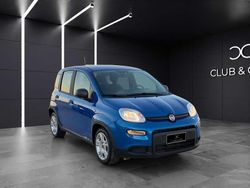 Blu met Usata 2024 Fiat Panda City Life Due volumi | 12.000 € (Buon prezzo)