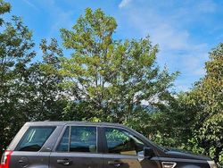 Grigio Usata 2009 Land Rover Freelander 2 SUV | 6600 € (Buon prezzo)