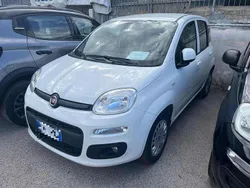 Vari colori Usata 2019 Fiat Panda Due volumi | 7000 € (Super prezzo)
