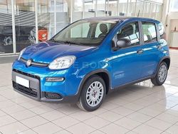 Azzurro Usata 2024 Fiat Panda S Due volumi | 12.890 € (Buon prezzo)