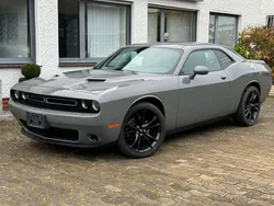 Grigio Usata 2019 Dodge Challenger Coupé | 31.000 € (Super prezzo)