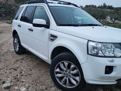 Bianco Usata 2010 Land Rover Freelander 2 SUV | 7500 € (Buon prezzo)