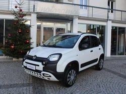 Bianco Usata 2021 Fiat Panda Cross Cross Due volumi | 16.800 € (Cara)