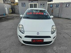 Bianco Usata 2014 Fiat Punto Lounge Due volumi | 3299 € (Super prezzo)