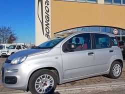 Vernice metallizzata Usata 2016 Fiat Panda Easy Tre volumi | 7999 € (Buon prezzo)