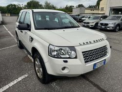 Bianco Usata 2010 Land Rover Freelander 2 S SUV | 10.000 € (Molto cara)