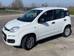 Bianco Usata 2015 Fiat Panda Easy Due volumi | 5900 € (Buon prezzo)
