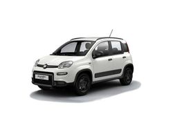 Verde Usata 2020 Fiat Panda 4x4 S Due volumi | 12.500 € (Buon prezzo)