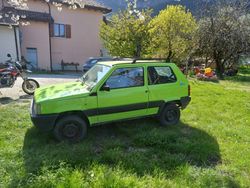Verde Usata 1998 Fiat Panda 4x4 Due volumi | 5000 €