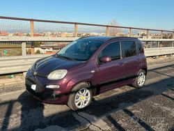 Usata 2014 Fiat Panda Lounge Tre volumi | 4500 € (Ottimo prezzo)