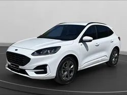 Bianco Usata 2024 Ford Kuga ST-Line SUV | 27.500 € (Buon prezzo)