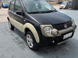 Usata 2010 Fiat Panda Cross Cross Due volumi | 6600 € (Buon prezzo)