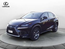 Grigio Usata 2019 Lexus NX300h Executive Line SUV | 26.500 € (Buon prezzo)