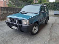 Usata 1991 Fiat Panda 4x4 Trekking Due volumi | 10.000 €