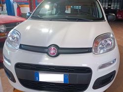 Bianco Usata 2013 Fiat Panda Pop Due volumi | 6900 € (Buon prezzo)