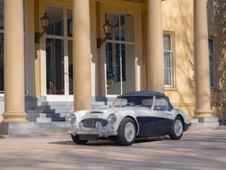 Bianco Usata 1957 Austin Healey 100/6 Cabrio | 65.000 €