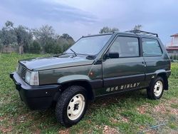 Verde Usata 1989 Fiat Panda 4x4 Due volumi | 7999 €