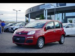 Rosso passione Nuova 2025 Fiat Panda Due volumi | 14.800 €