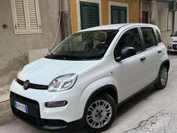 Usata 2021 Fiat Panda City Life Due volumi | 8800 € (Ottimo prezzo)