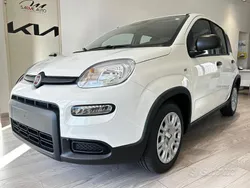 Giallo Nuova 2024 Fiat Panda S Due volumi | 10.500 €