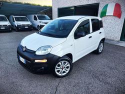 Bianco Usata 2021 Fiat Panda Due volumi | 7580 € (Super prezzo)