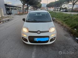 Bianco Usata 2017 Fiat Panda Tre volumi | 8000 € (Buon prezzo)
