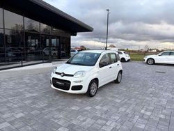 Bianco Usata 2021 Fiat Panda Tre volumi | 9950 € (Buon prezzo)