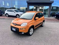 Arancione Usata 2013 Fiat Panda Trekking Due volumi | 8500 € (Cara)
