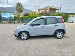 Grigio Usata 2023 Fiat Panda Due volumi | 8600 € (Super prezzo)